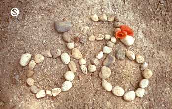 Serenelli's Bicycle Fantasy Photo