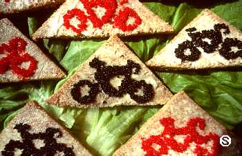 Serenelli's Bicycle Fantasy Photo