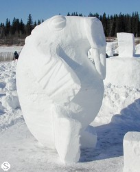 Winter Festival Photos